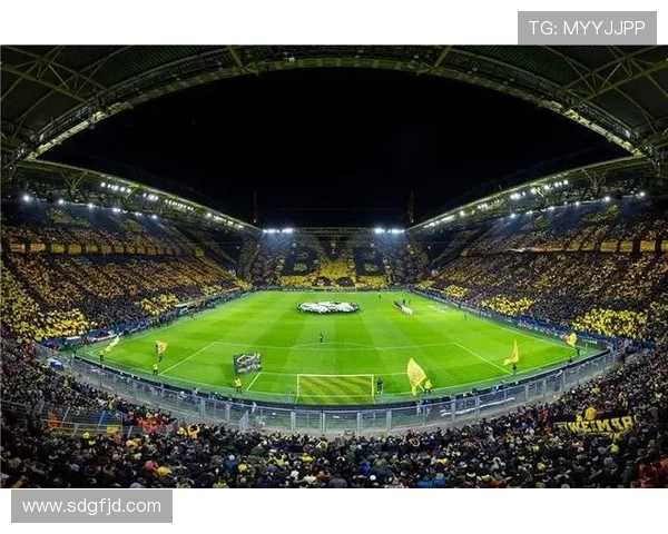 多特蒙德启动千万欧元新计划 多特蒙德启动千万欧元新计划